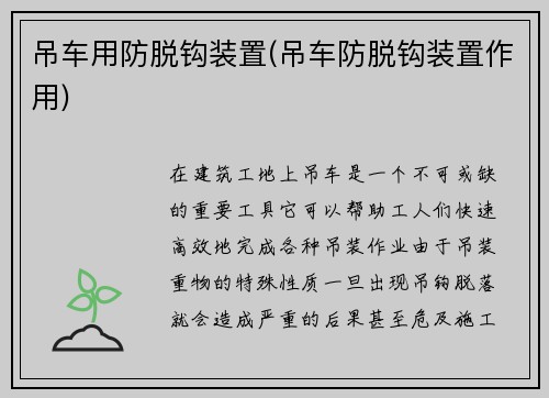 吊车用防脱钩装置(吊车防脱钩装置作用)